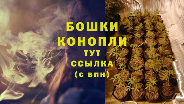 МДПВ Богданович