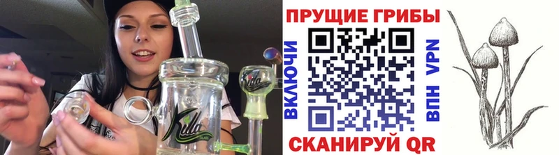 KRAKEN вход магазин Орск Галлюциногенные грибы ЛСД